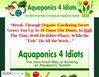 Gallery - Aquaponics 4 Idiots Review