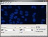Gallery - GSA Image Analyser Review