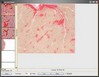 Gallery - GSA Image Analyser Review