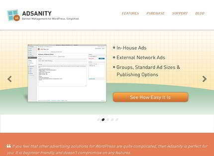 Homepage - Adsanity Plugin Review