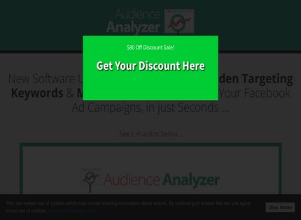 Homepage - Audience Analyzer Review