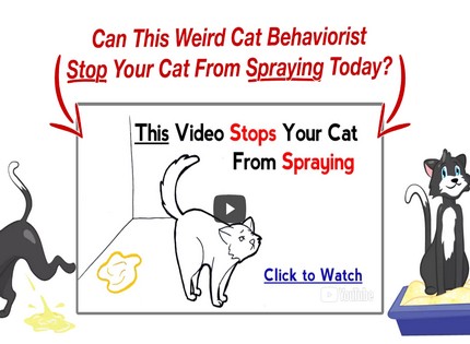 Homepage - CatSprayStop Review
