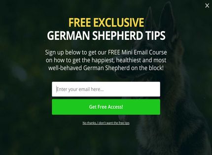 Homepage - German Shepherd Handbook Review