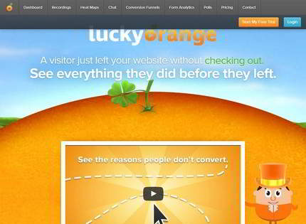 Homepage - Lucky Orange Review