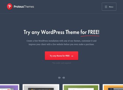 Homepage - ProteusThemes Review