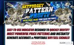SetForget Pattern Profit Review