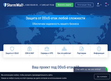 Homepage - StormWall.pro Review