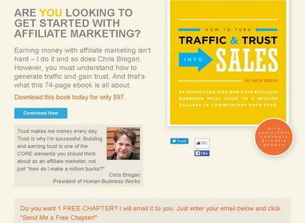 Homepage - Traffic And Trust Review