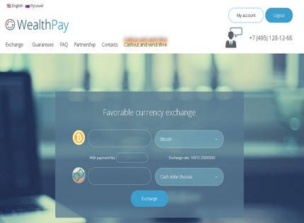 Homepage - WealthPay Review