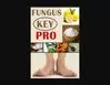 Gallery - Fungus Key Pro Review