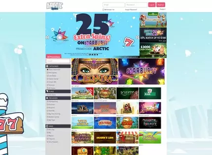 Homepage - Arctic Spins Review