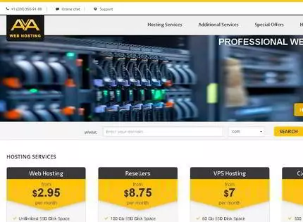 Homepage - AvaHost Review