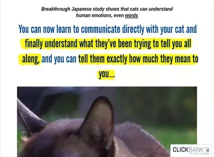 Homepage - Cat Language Bible Review