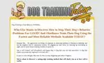 Dog Training Tutor Review