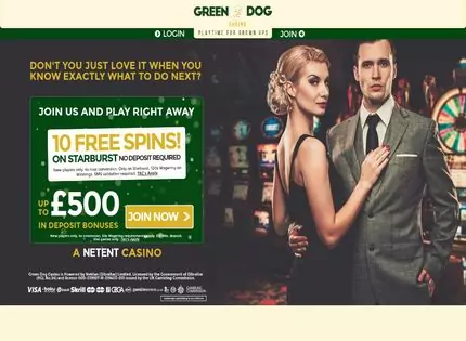 Homepage - Green Dog Casino Review