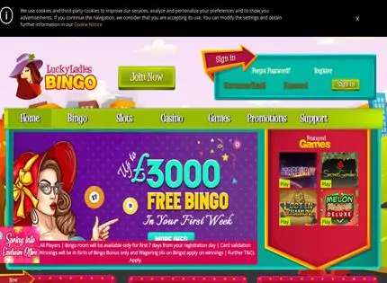 Homepage - Lucky Ladies Bingo Review