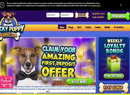 Homepage - Lucky Puppy Bingo Review