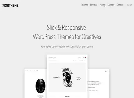 Homepage - Northeme Review