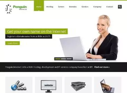 Homepage - Penguin Internet Ltd Review