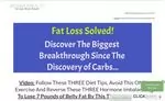 The Flat Belly System Review