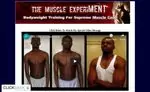 The Muscle Experiment Review