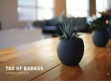 Homepage - The Tao of Badass Review