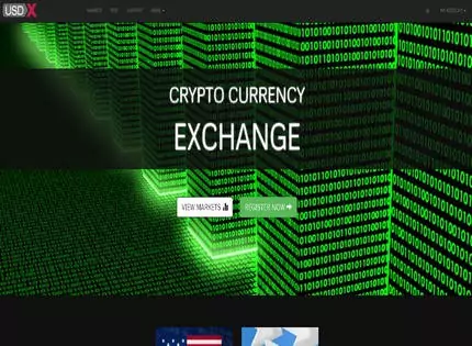 Homepage - USD-X Review