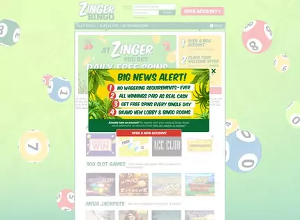 Homepage - ZingerBingo.com Review