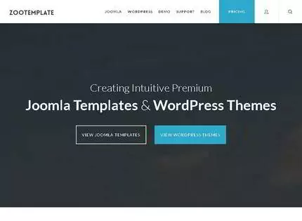 Homepage - ZooTemplate Review