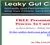 Leaky Gut Cure Mobile Version