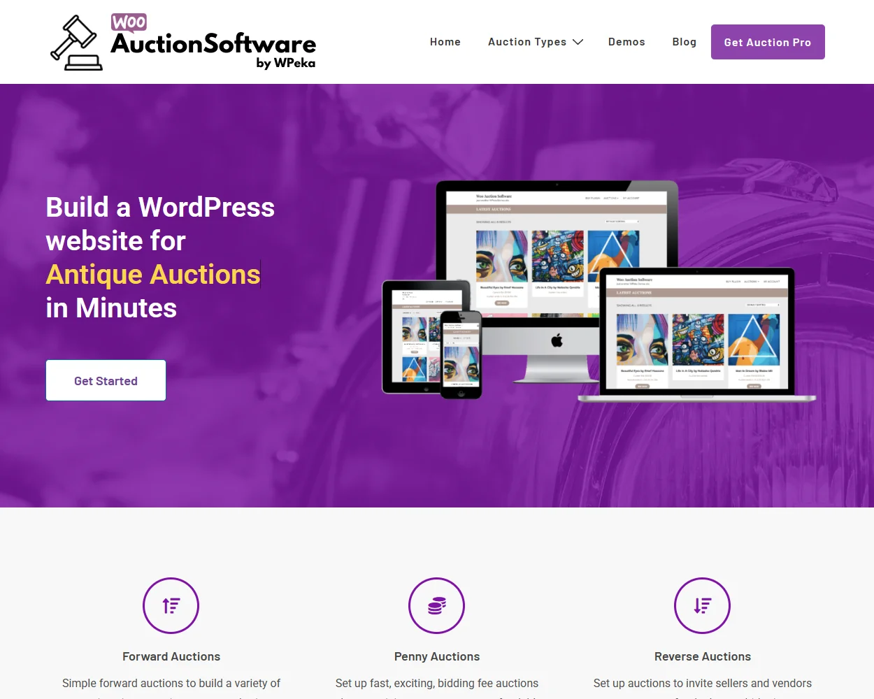 WP Auction Software WP Auction Software