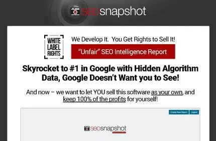 SEO Snapshot SEO Snapshot