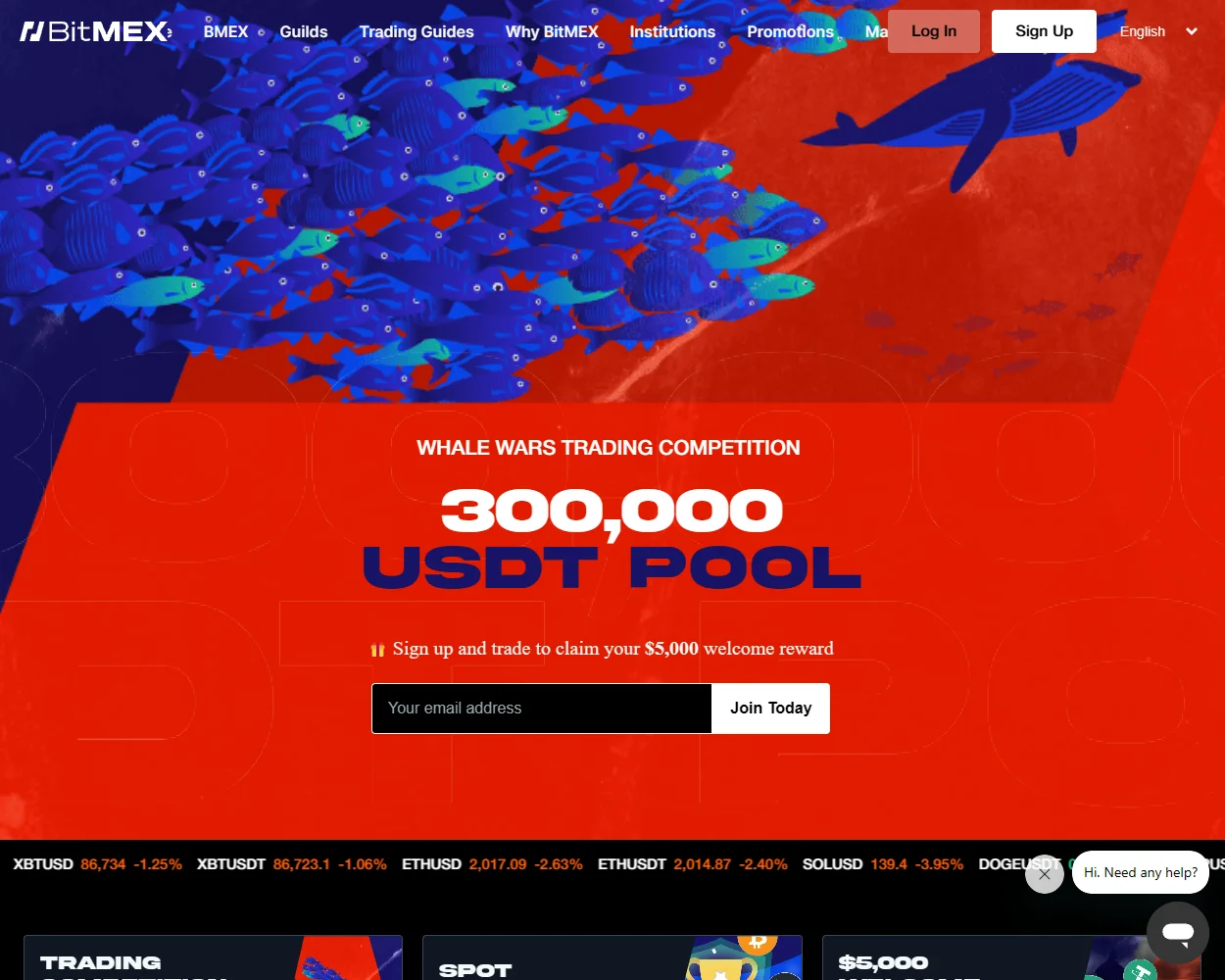 BitMEX BitMEX