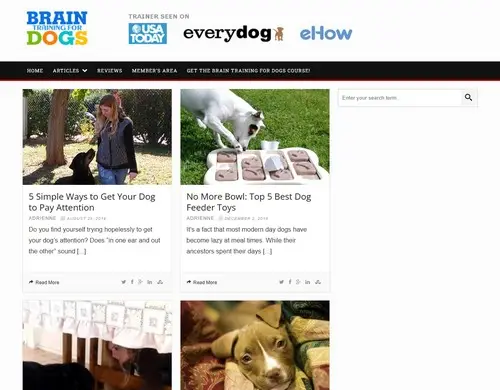 Brain Training 4 Dogs