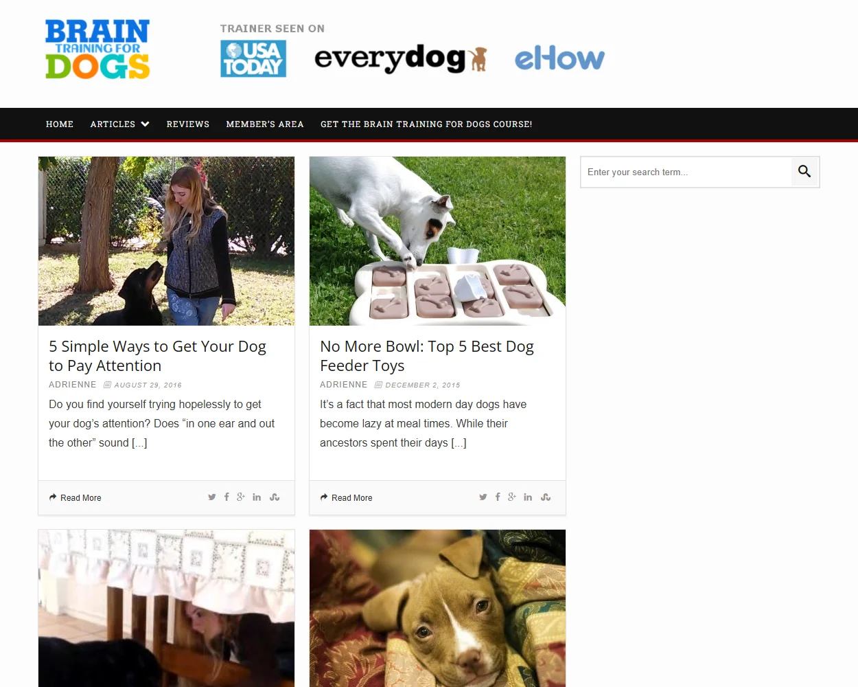Brain Training 4 Dogs Brain Training 4 Dogs