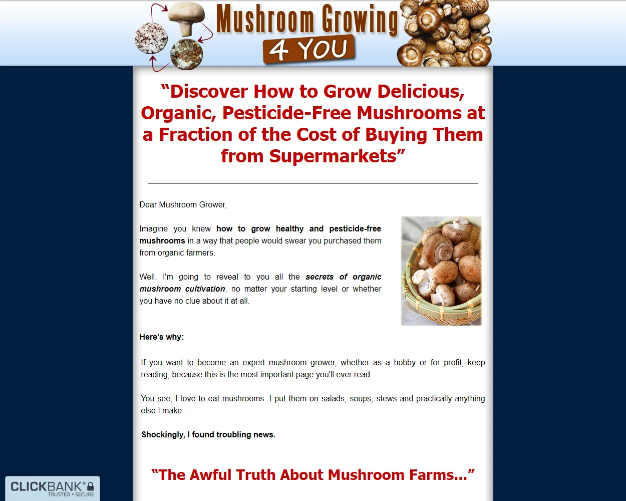 Mushroom Growing 4 You Mushroom Growing 4 You