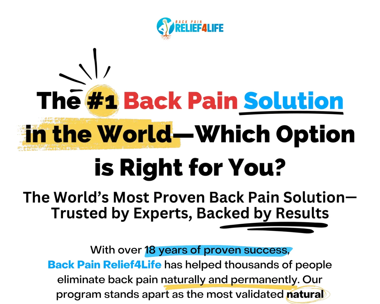 Back Pain Relief 4 Life Back Pain Relief 4 Life
