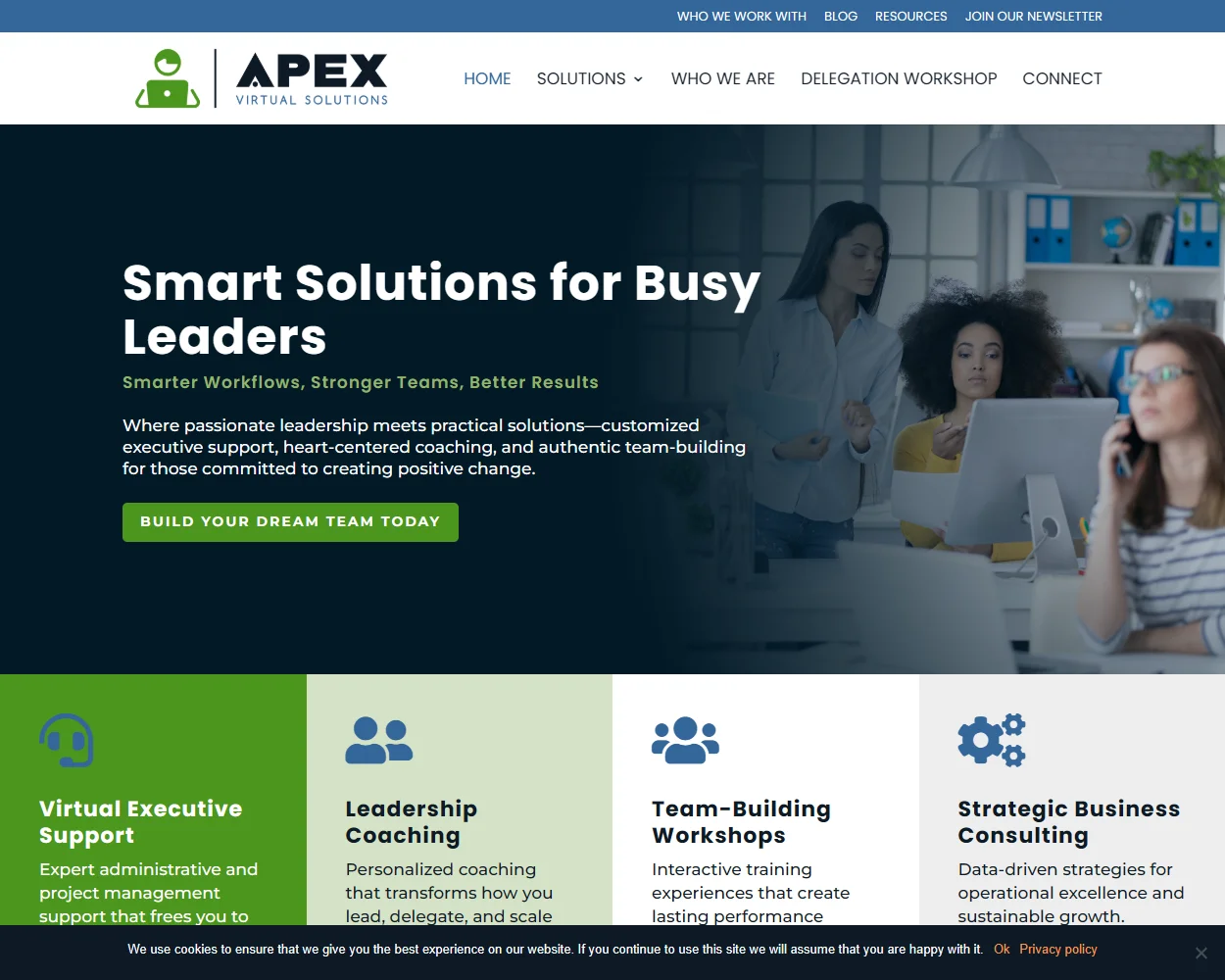 Apex Virtual Solutions Apex Virtual Solutions