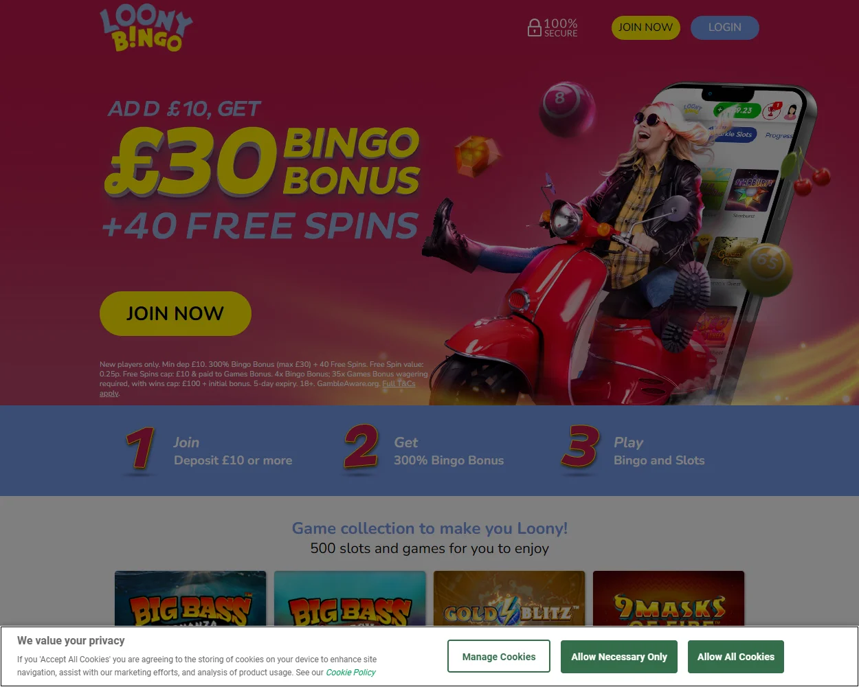 Loony Bingo Loony Bingo