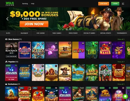 Wild Casino