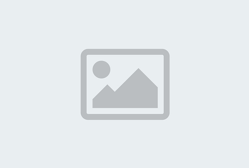 SiteBuilder Elite SiteBuilder Elite